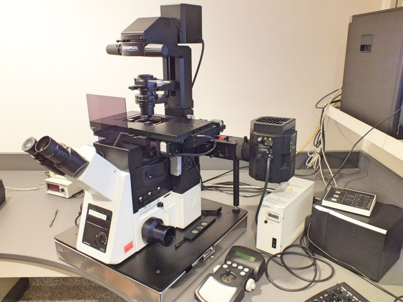 Olympus IX73 inverted fluorescent microscope system