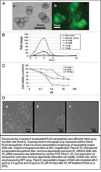 nanotechnology-based gene delivery system results