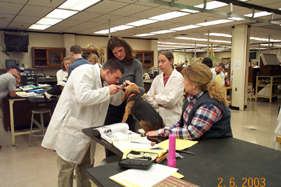 Gross anatomy lab