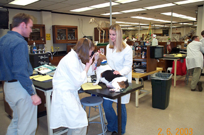 Gross anatomy lab
