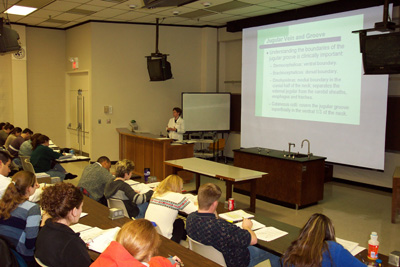 Gross Anatomy Lab II