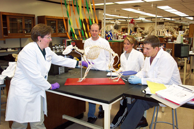 Gross Anatomy Lab