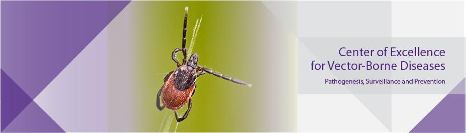 cevbd tick banner 1