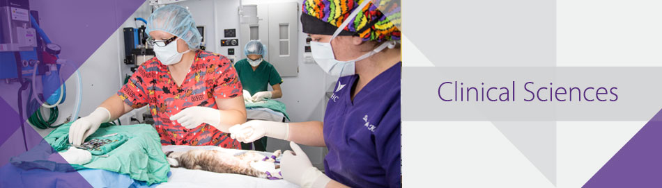 Mobile Surgery Unit