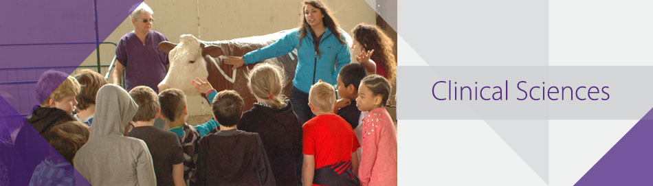 Student Outreach