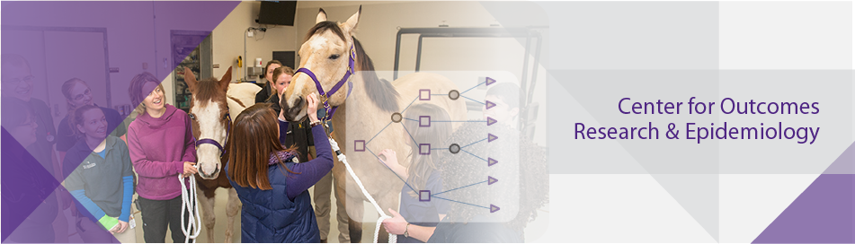 core banner equine
