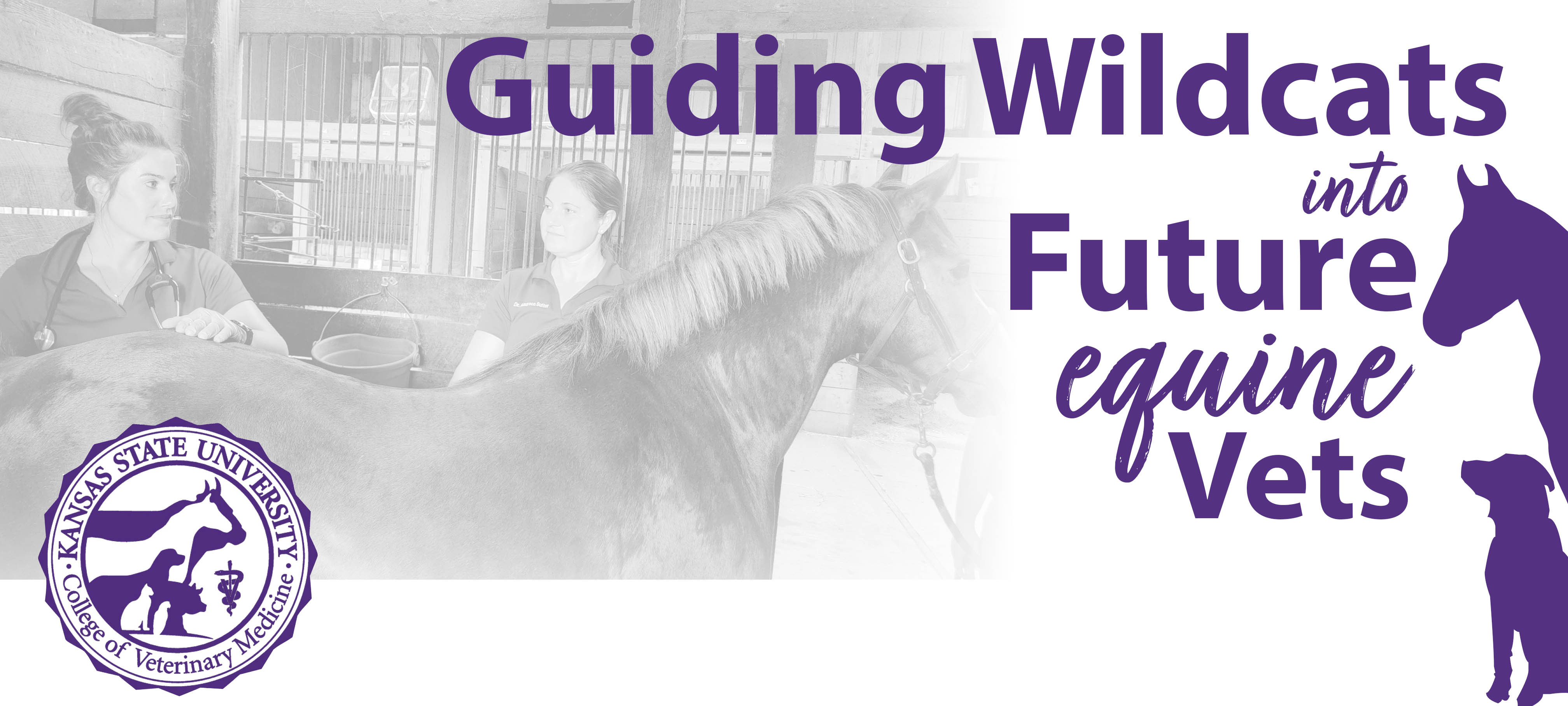 Guiding Wildcats into Future Equine Veterinarians