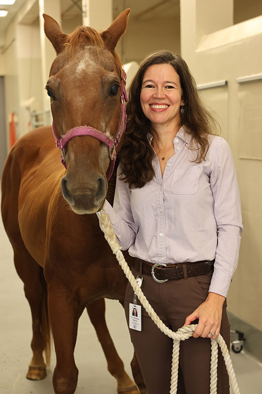 Dr. Nadruz and a brown horse