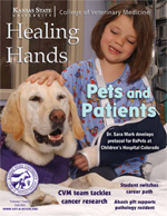 Healing Hands magazine