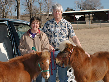 Becky and Robin Roeckers with their miniature horses