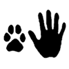 Animals in Society Logo