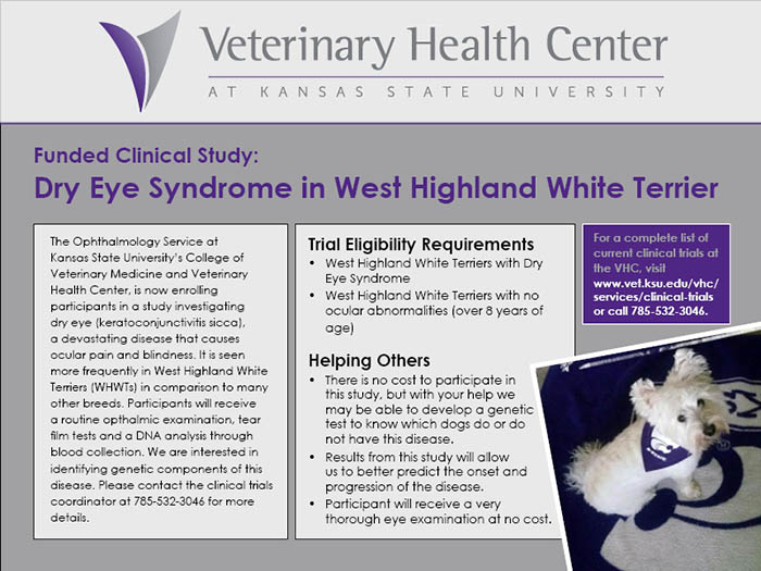 VHC Clinical Trials - CT Westie