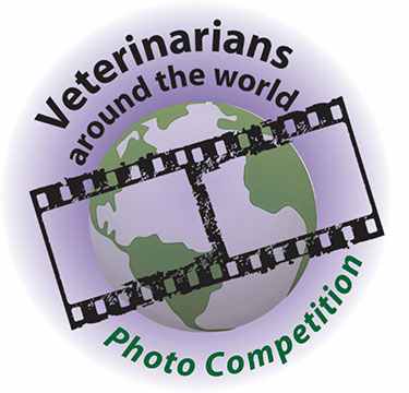 Photo contest logo