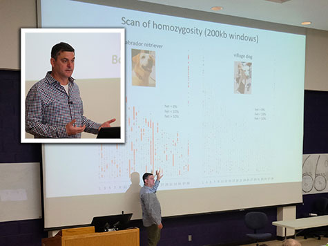 Dr. Adam Boyko shares research on DNA sequencing in dogs