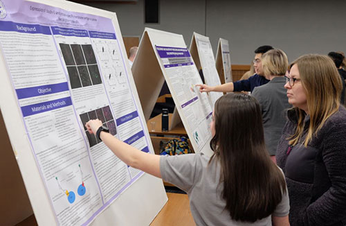 Students present posters at annual Phi Zeta Research Day