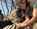 Tori Matta vaccinates a zebra