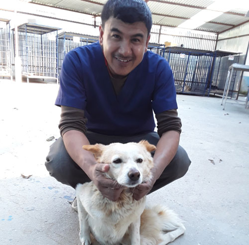 Dr. Bidur Piya and Jenny, a dog with hind limb paralysis who never lets anything slow her down