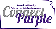 VMAA Connect Purple logo