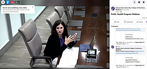 Dr. Ellyn Mulcahy leads webinar for prospective MPH students