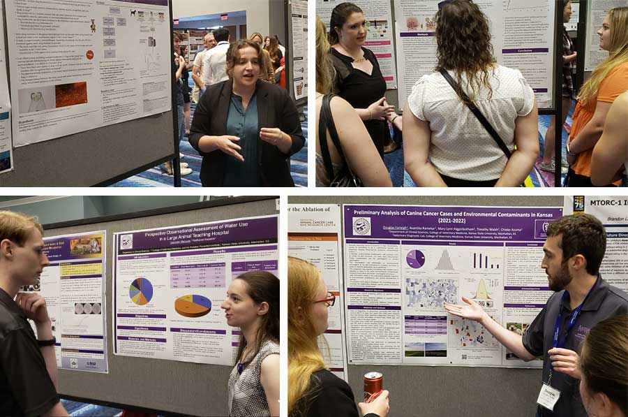 VRSP students present research at NVSS