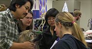 Students participate in a canine lab