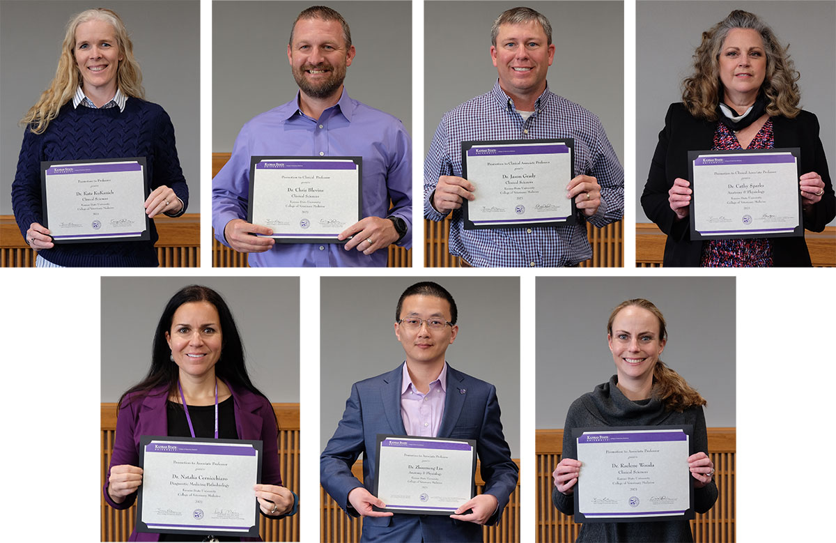Faculty promotions - KuKanich, Blevins, Grady, Sparks, Cernichiarro, Lin and Wouda