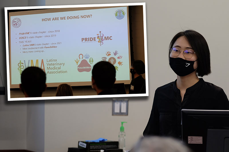 Shumin Li gives diversity presentation