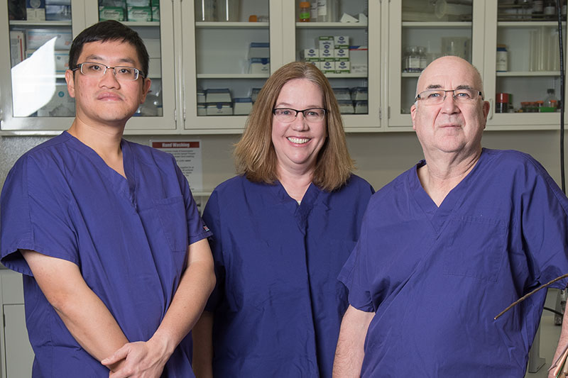 BRI Team: Drs. Scott Huang, Dana Vanlandingham and Stephen Higgs.