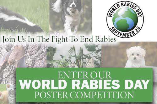 World Rabies Day poster contest