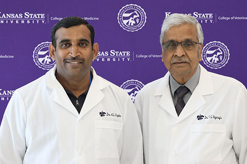 Drs. Raghu Amachawadi and T.G. Nagaraja