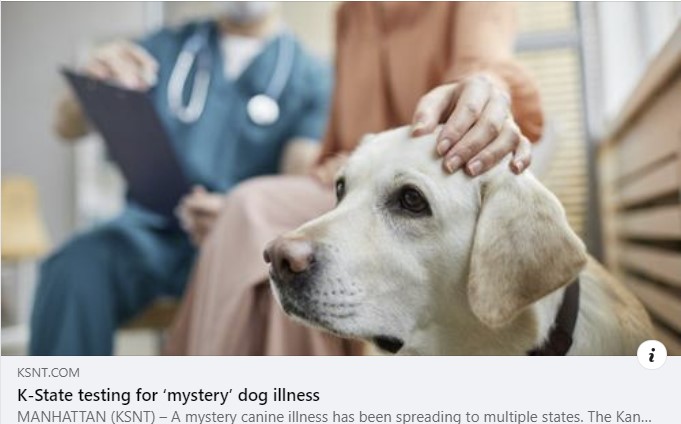 KSNT screen shot - testing for mystery dog illness