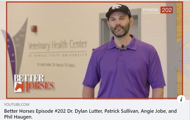 Dr. Dylan Lutter on Better Horses