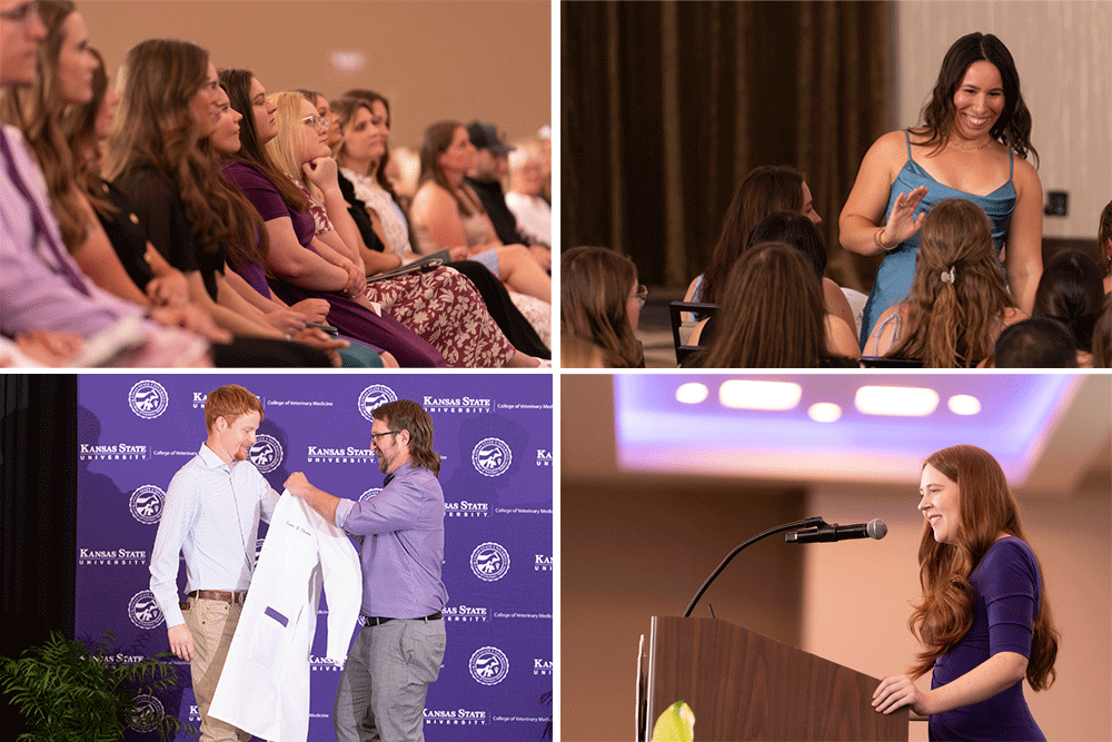 White coat picture collage