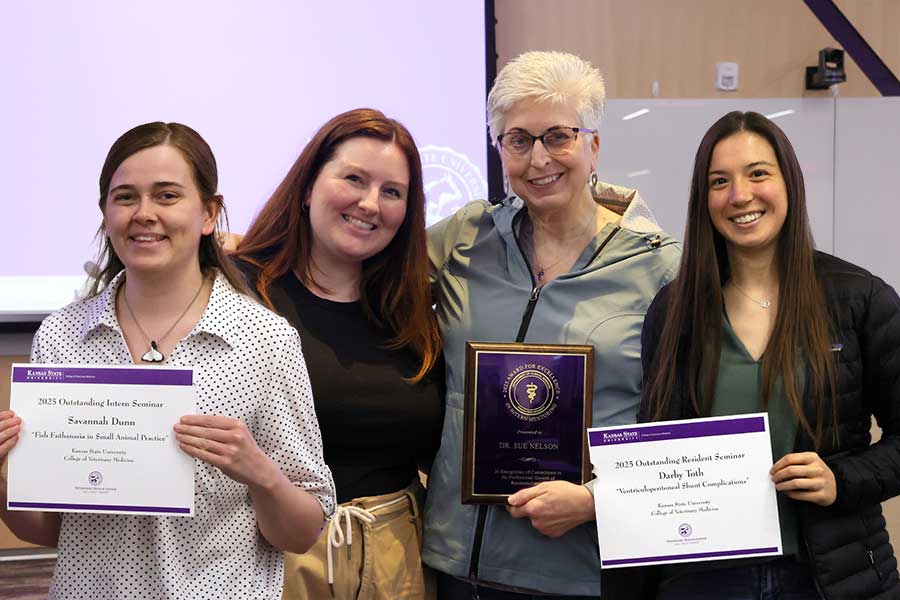 Collage of seminar and mentor award recipients