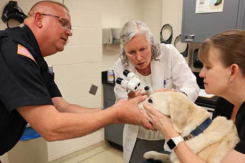 Dr. Amy Rankin conducts eye exam on a pooch