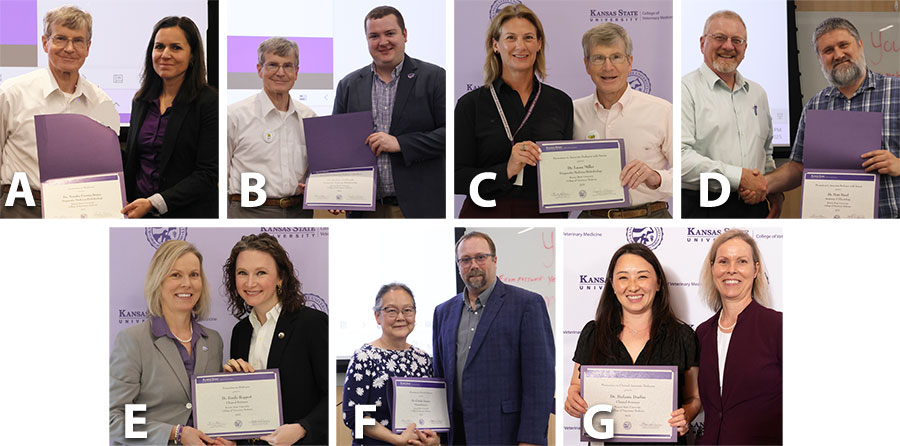Promotions and tenure collage