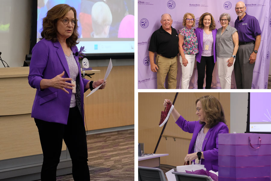 Three pictures from Dr. Bonnie Rush's reception