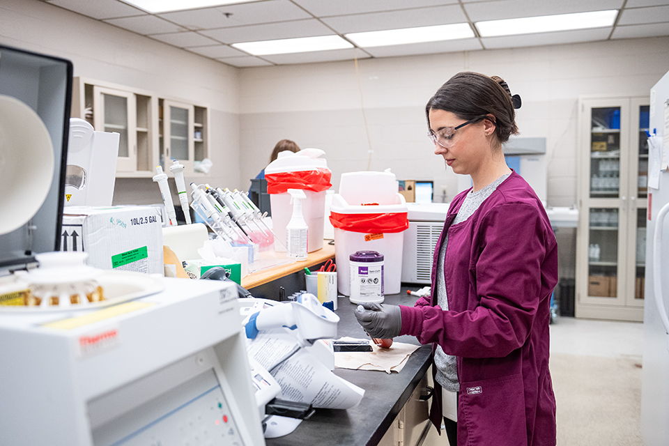 Emily Walker in a lab preparing to test a dog urine sample