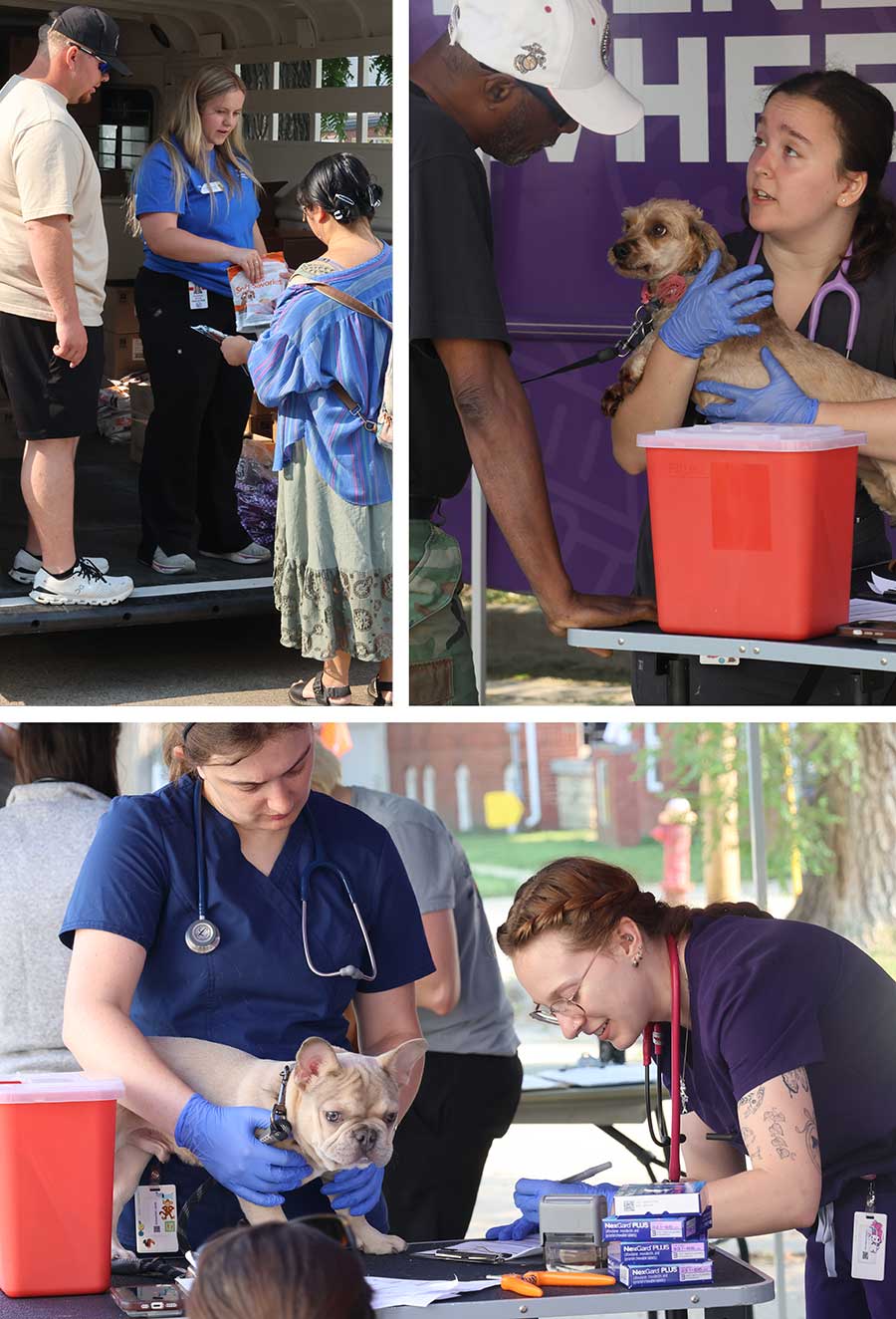 Collage of images from Everybody Counts MHK