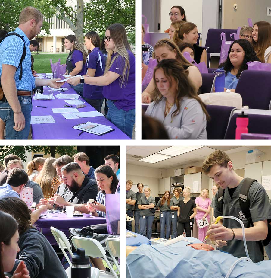 Collage of images from orientation