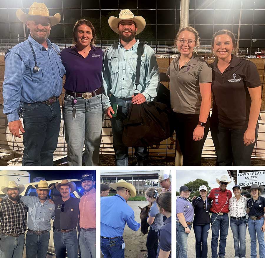 Collage of images from different rodeos