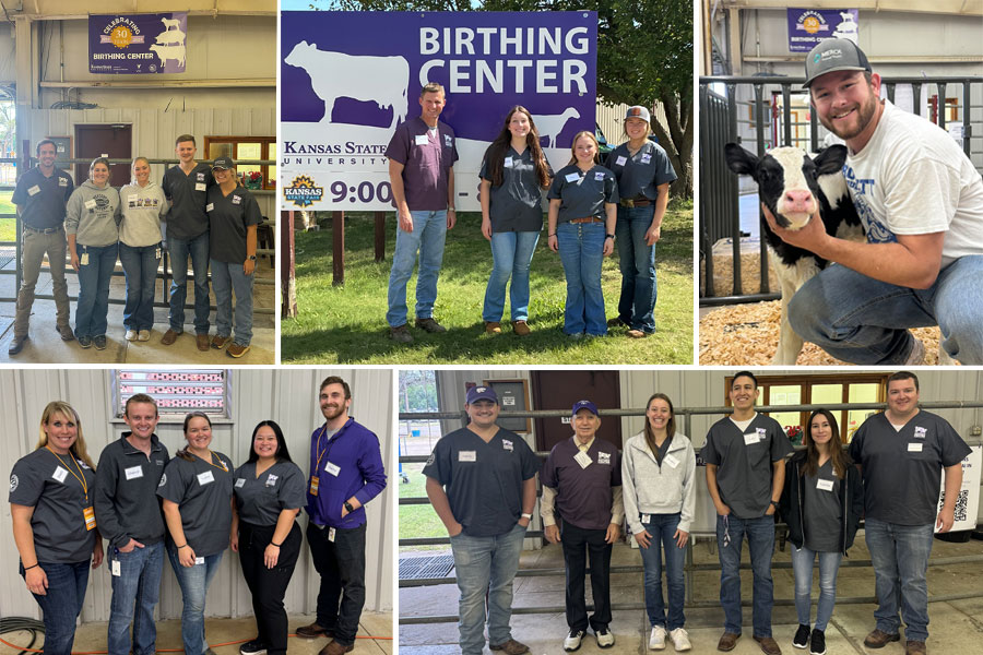 Collage of images from 2025 State Fair