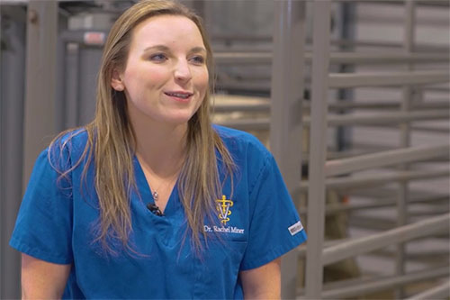 Screenshot of Dr. Rachel Miner's interview with Investigate TV