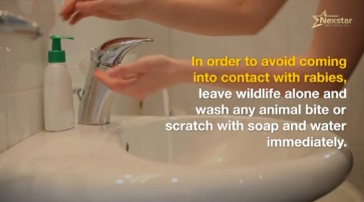 Screenshot from KSNT newscast