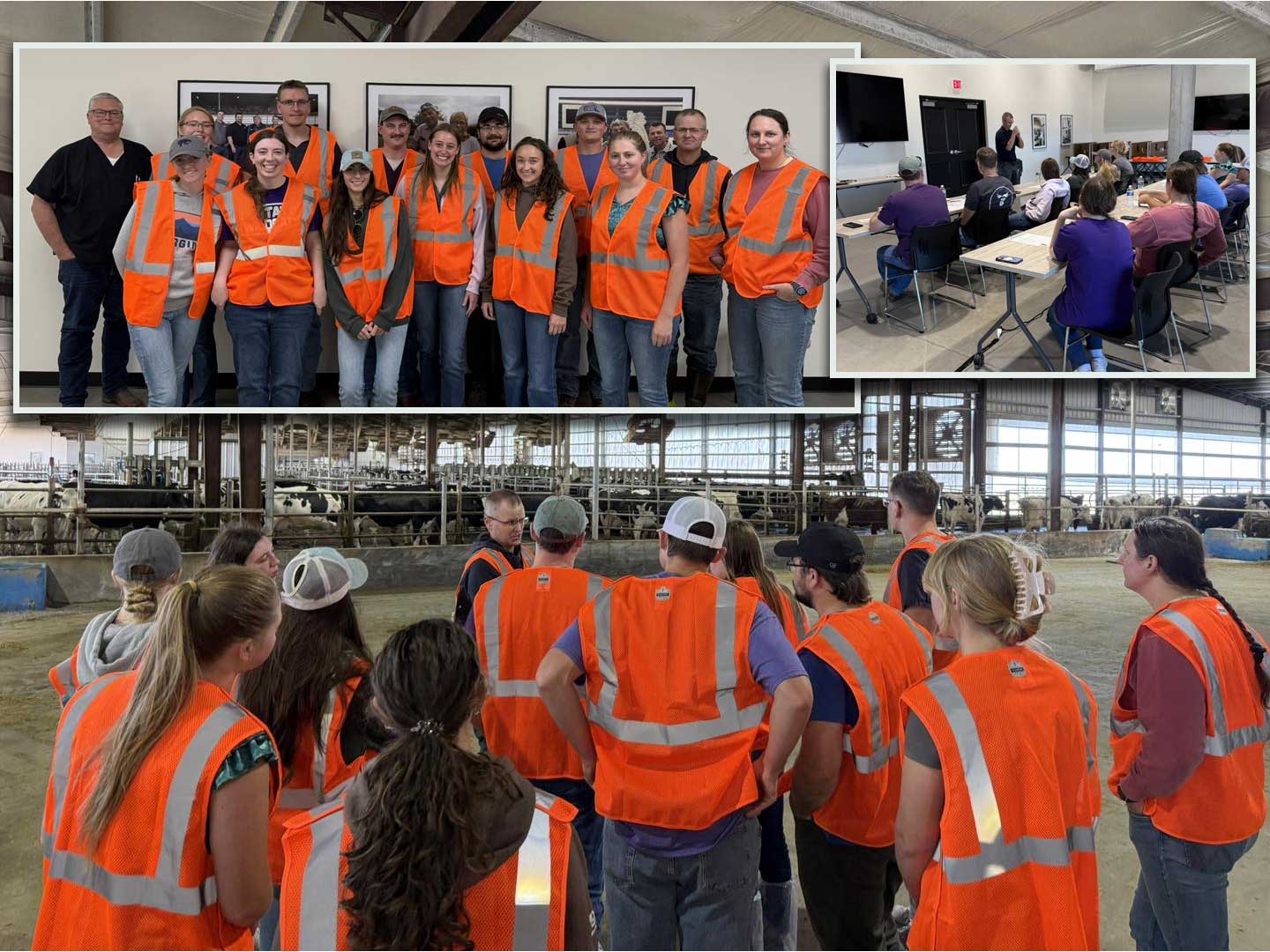 Veterinary students tour the McCarty Family Farms