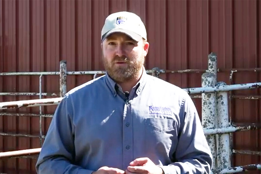 Dr. AJ Tarpoff speaks for a video from a farm yard