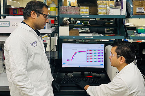 Dr. Pankaj Baral consults with his graduate student Sandeep Adhikari