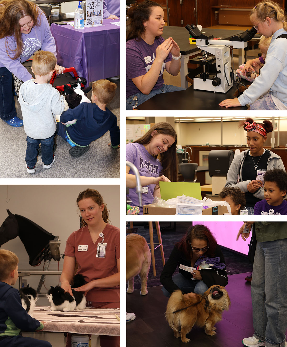 Photo collage from K-State Open House
