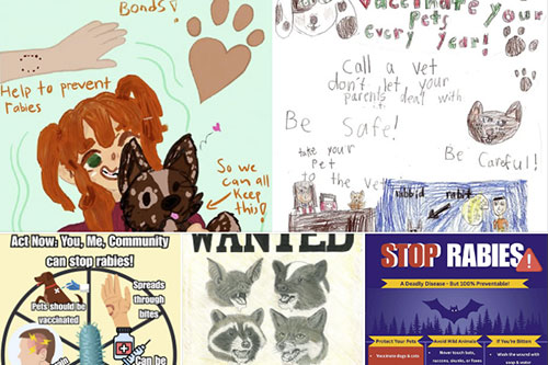 Collage of rabies-awarenss posters designed by school kids
