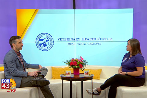 Cassidy Moreau talks about May being Mental Health Month on local TV show